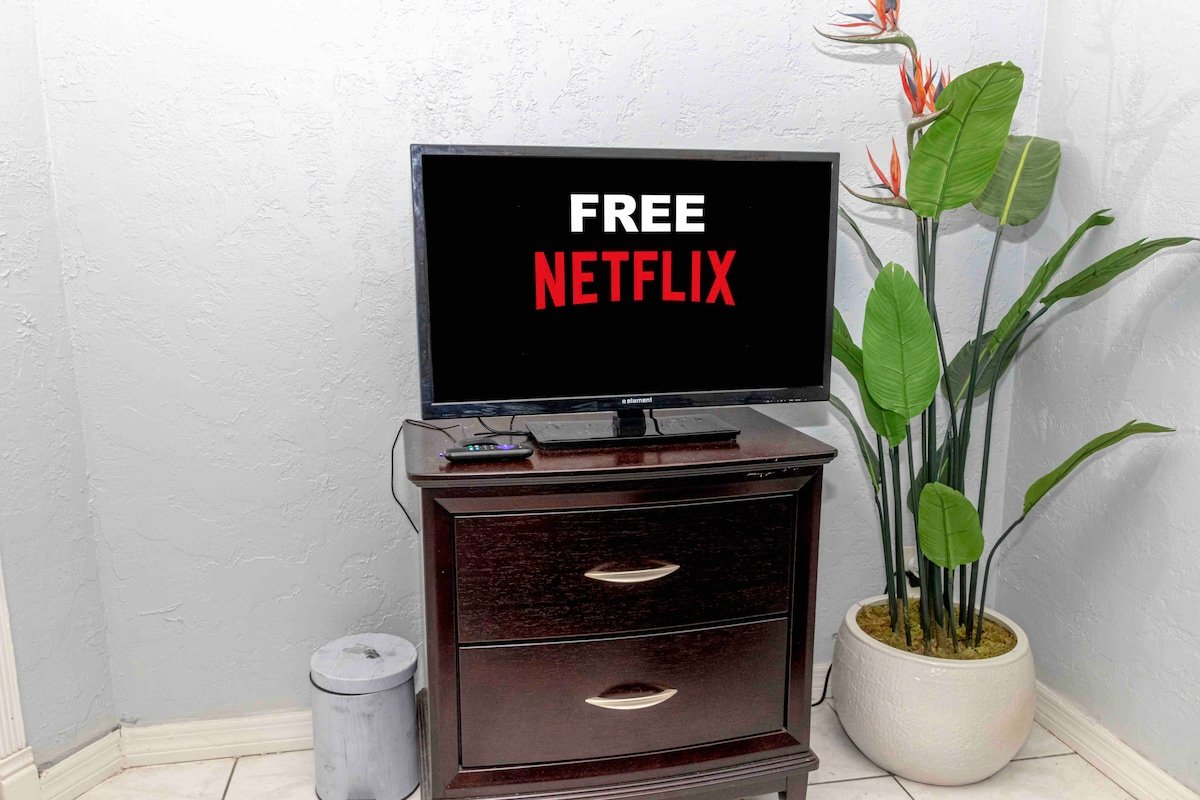 TV on a dresser beside a tropical plant